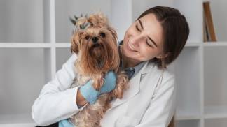 veterinarian-check-ing-puppy-s-health