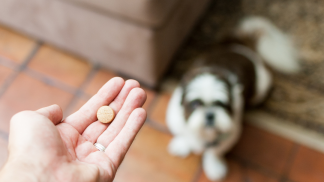 petfoodforumbrasil (8)