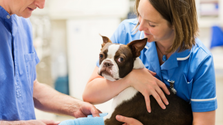 petfoodforumbrasil (16)