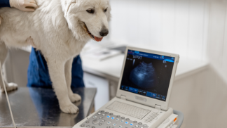 petfoodforumbrasil (20)