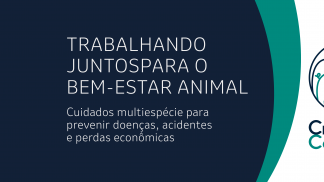 MSD_0277_Banner-Criando-Conexoes-1-1