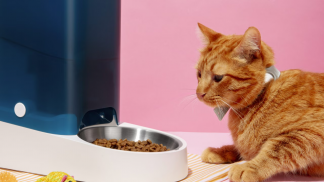 smart-feeder-pets-still-life-scaled