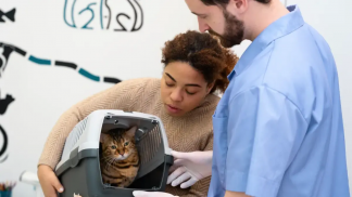 SUS-para-caes-e-gatos-vira-realidade-em-capital-brasileira-1200x675 (1)