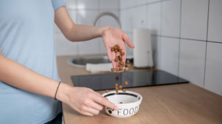 Pode-aquecer-comida-do-pet-no-micro-ondas-Veja-os-cuidados