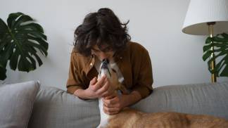 greyhound-dog-with-male-owner-home-couch (2)
